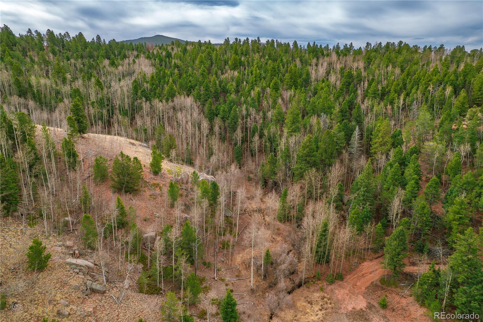 130 Grey Eagle Way Cripple Creek CO 80813