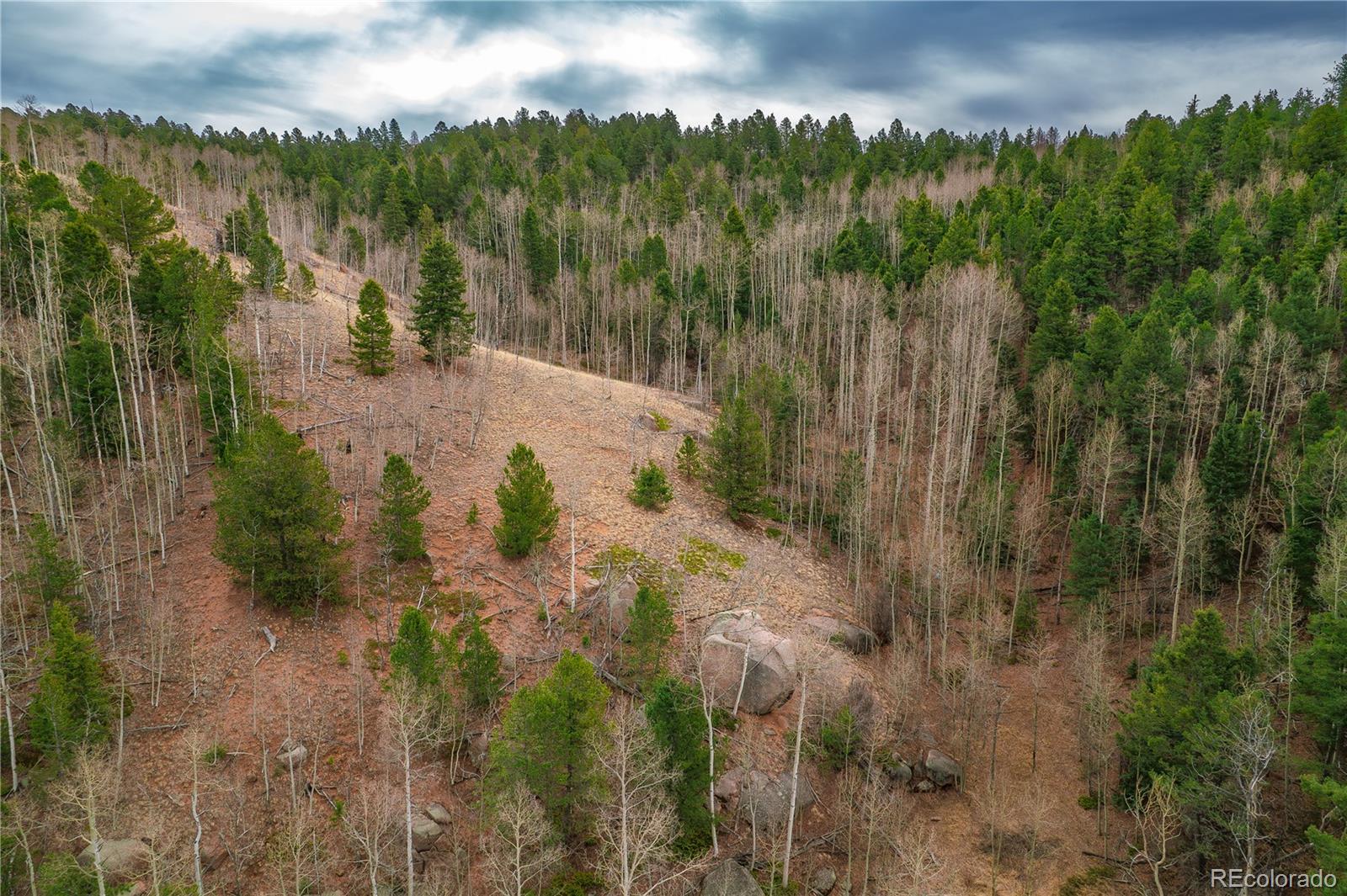 130 Grey Eagle Way Cripple Creek CO 80813