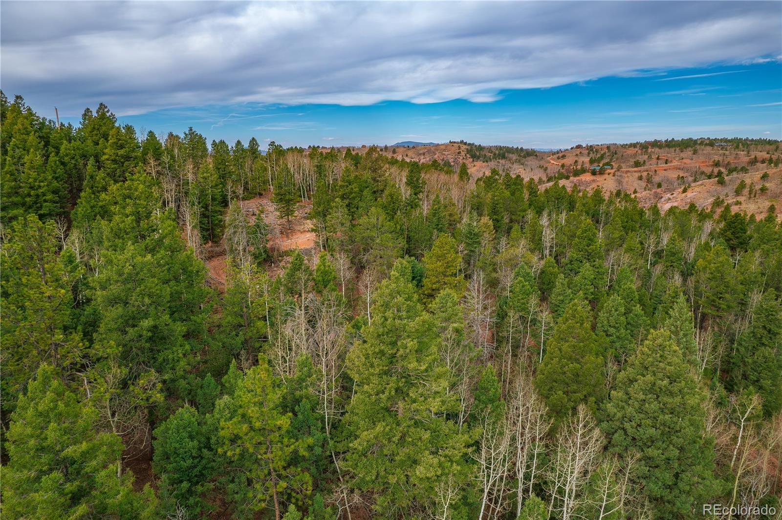 130 Grey Eagle Way Cripple Creek CO 80813