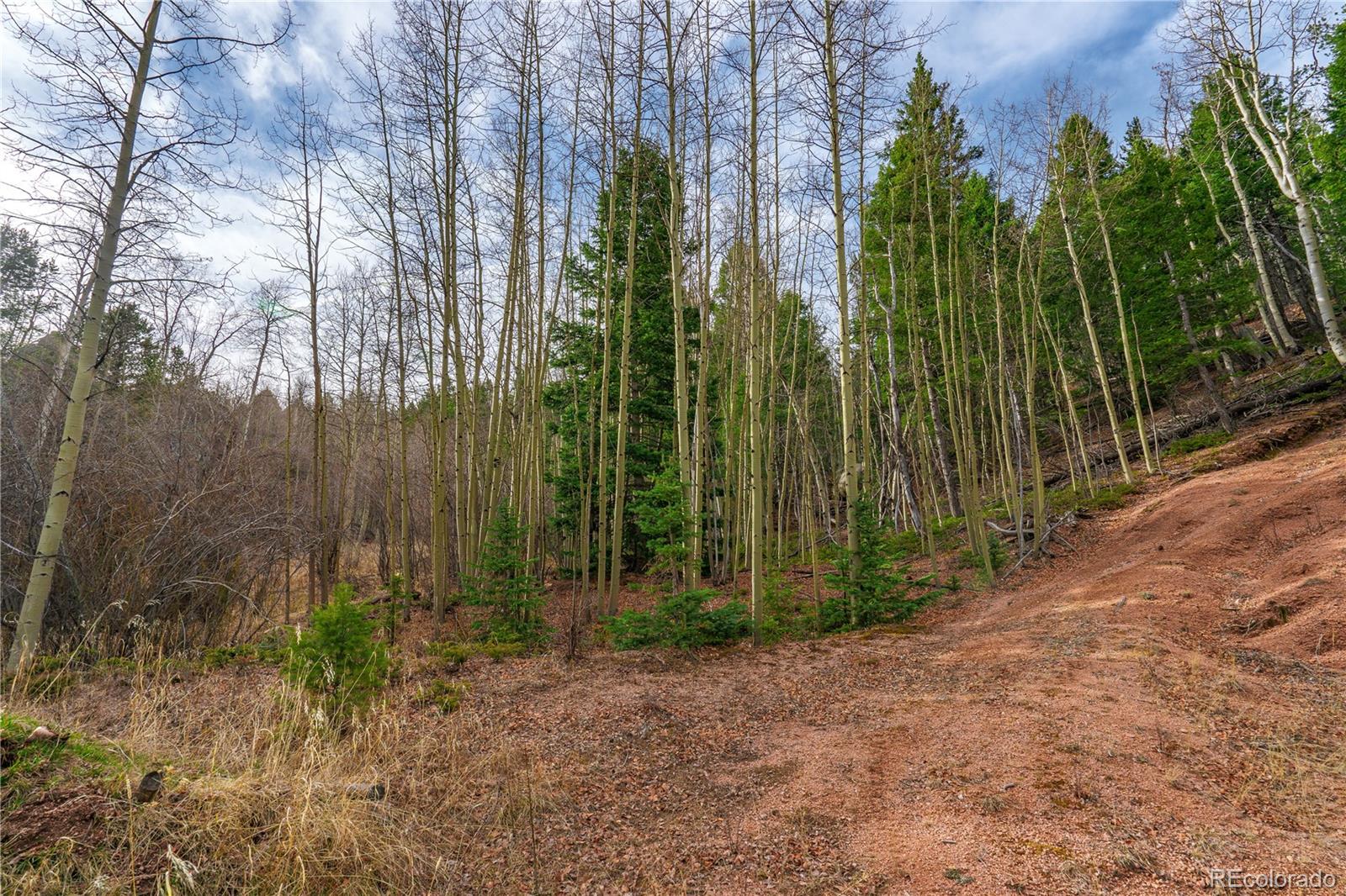 130 Grey Eagle Way Cripple Creek CO 80813
