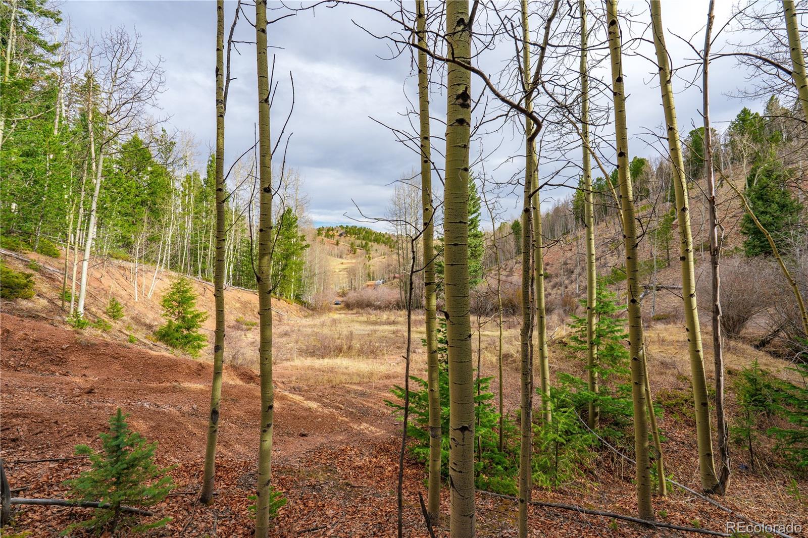 130 Grey Eagle Way Cripple Creek CO 80813