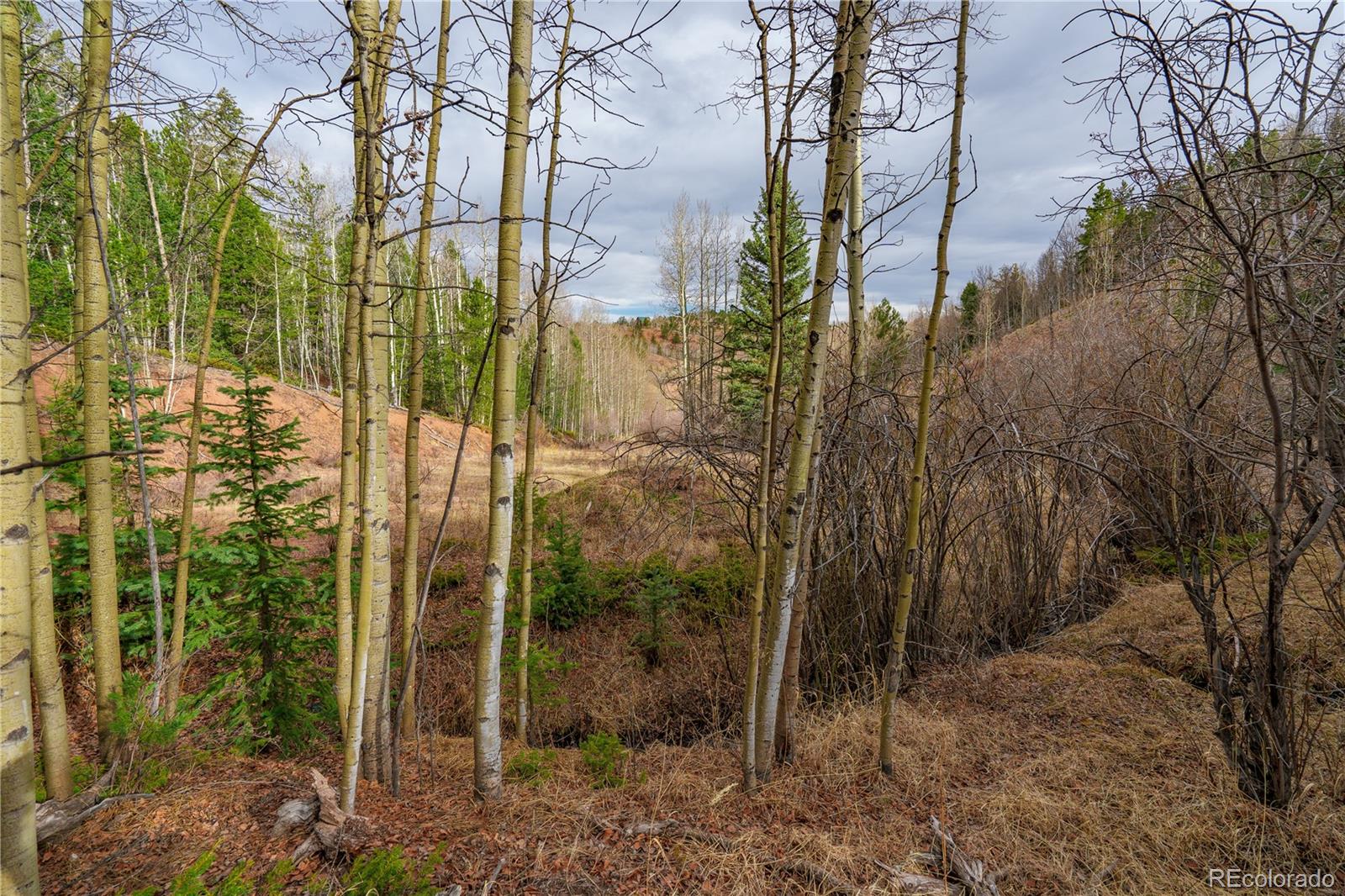 130 Grey Eagle Way Cripple Creek CO 80813