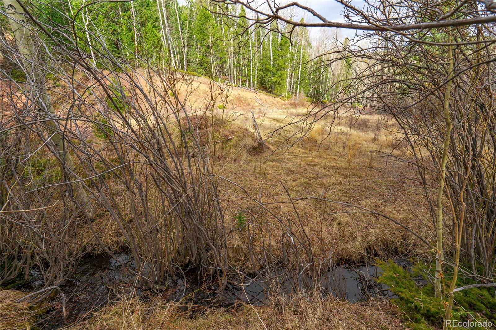 130 Grey Eagle Way Cripple Creek CO 80813