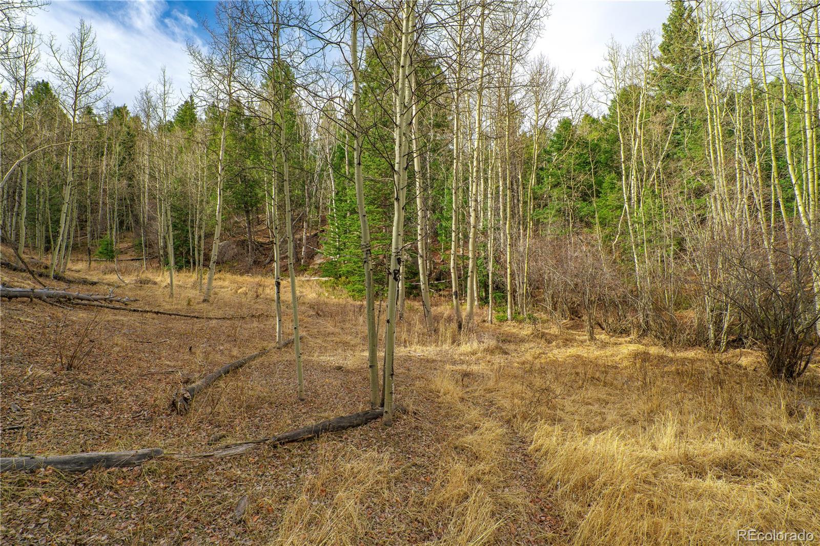 130 Grey Eagle Way Cripple Creek CO 80813
