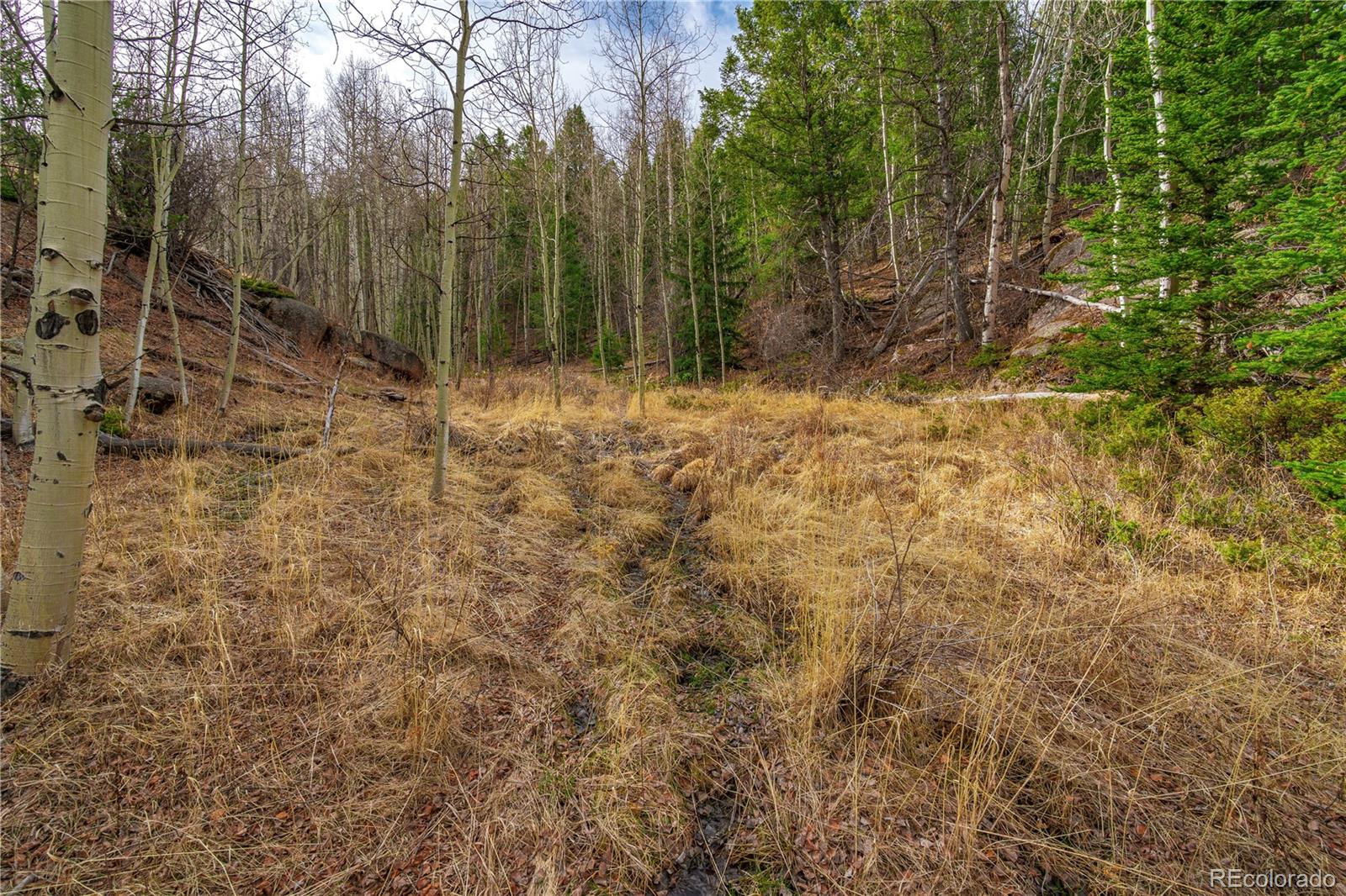 130 Grey Eagle Way Cripple Creek CO 80813