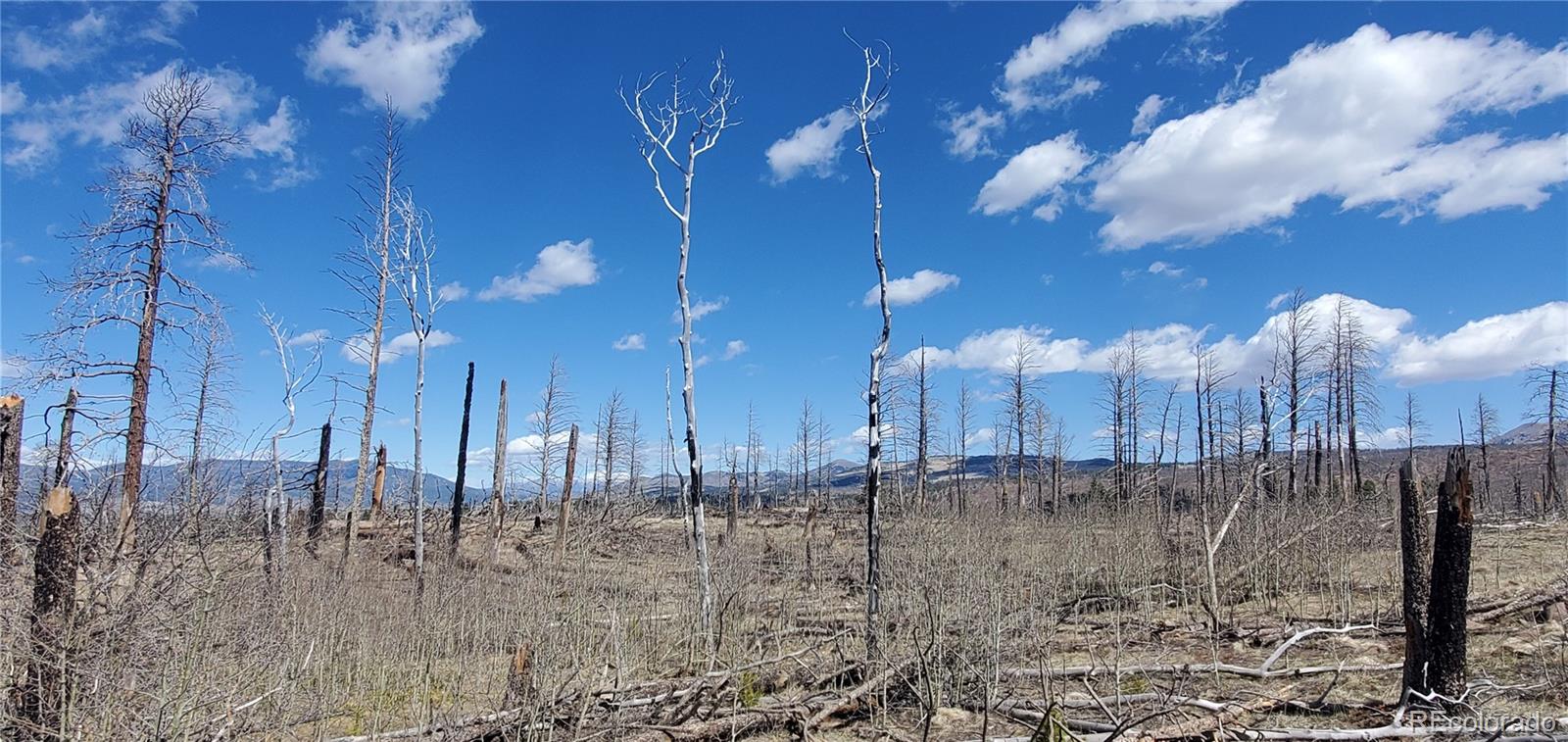 Lot 1228 Granville Loop Fort Garland CO 81133