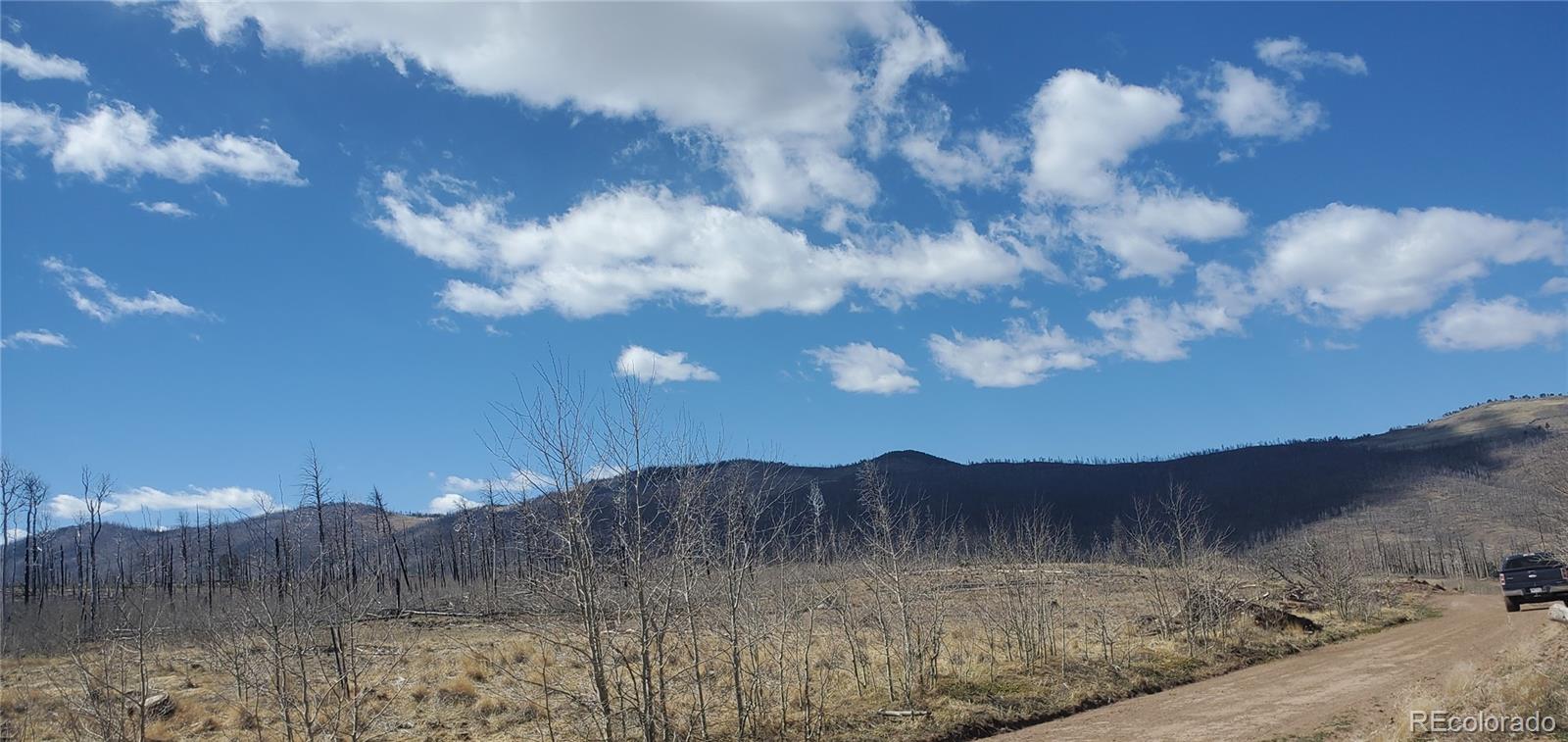 Lot 1228 Granville Loop Fort Garland CO 81133