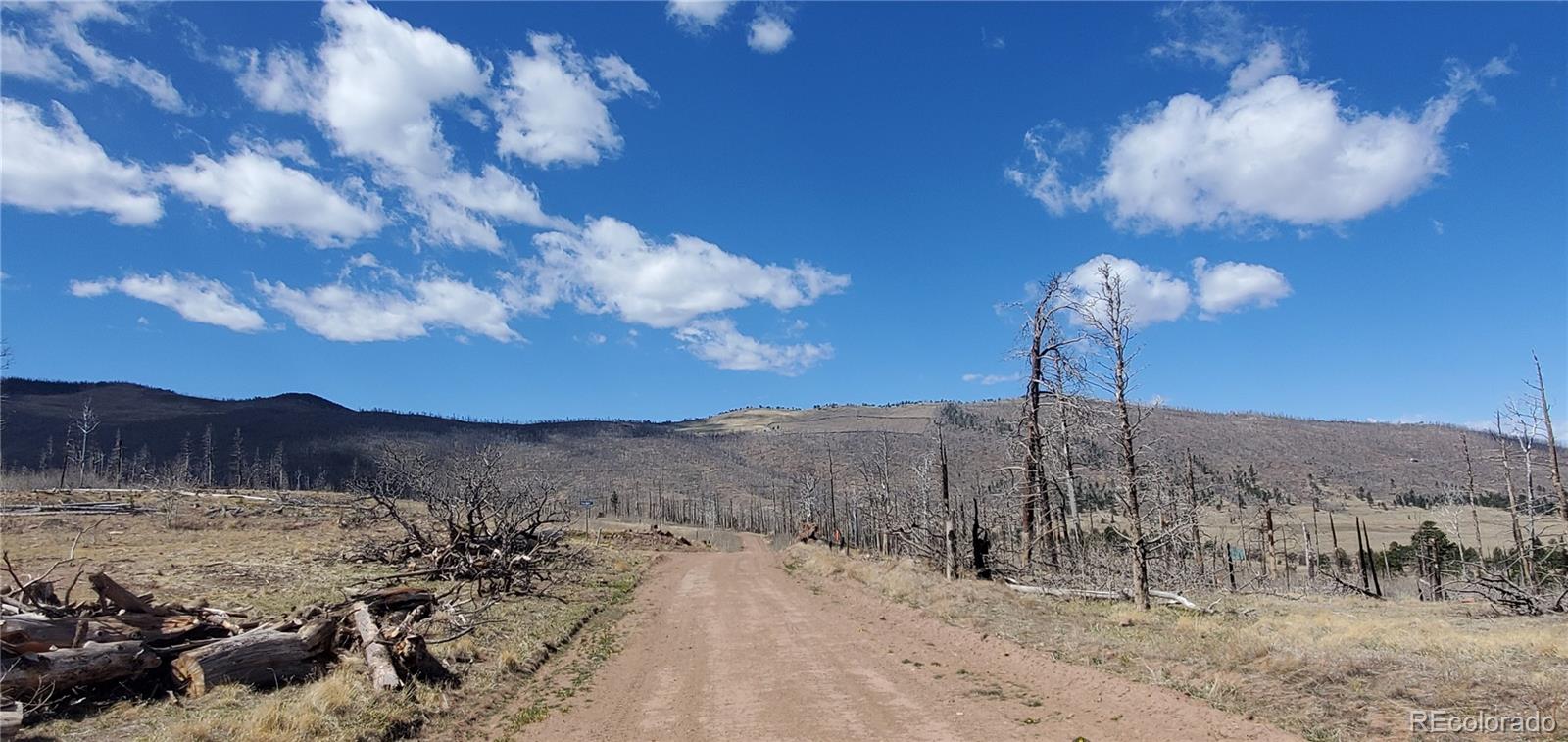 Lot 1228 Granville Loop Fort Garland CO 81133