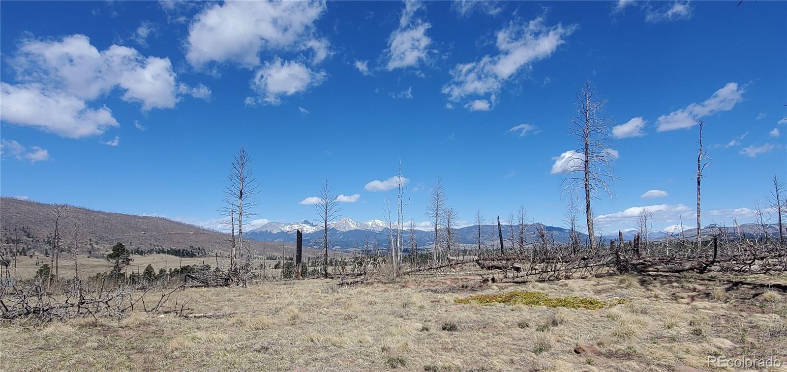 Lot 1228 Granville Loop Fort Garland CO 81133