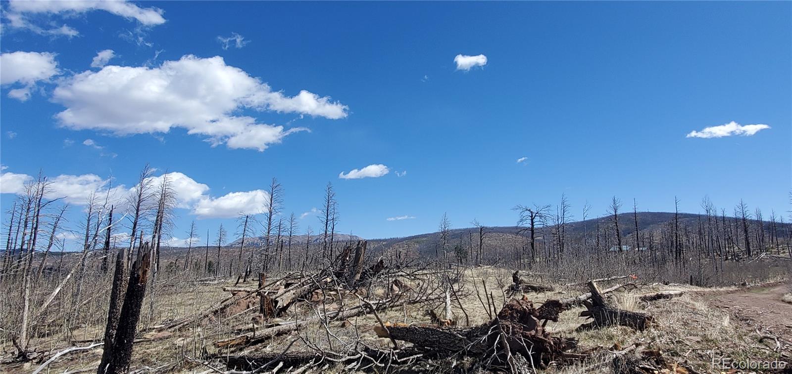 Lot 1228 Granville Loop Fort Garland CO 81133