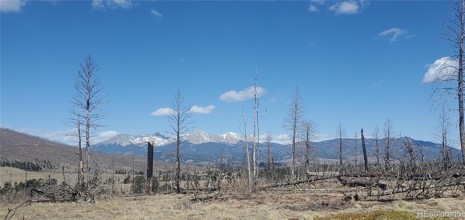 Lot 1228 Granville Loop Fort Garland CO 81133