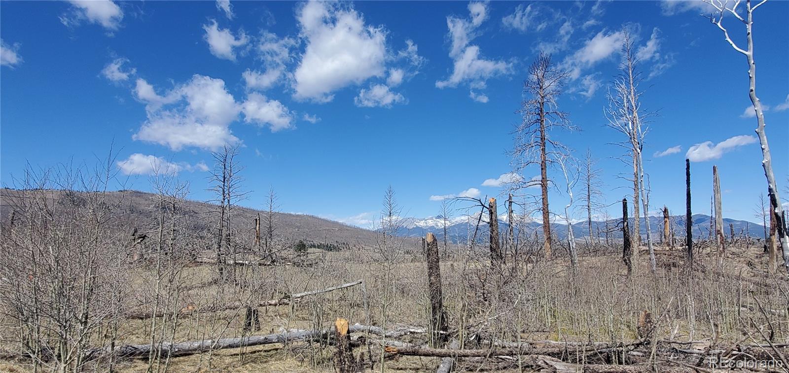 Lot 1228 Granville Loop Fort Garland CO 81133