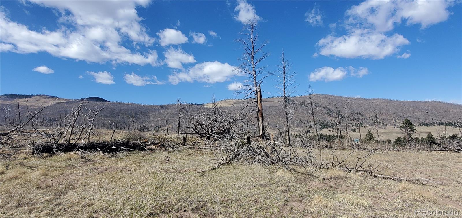 Lot 1228 Granville Loop Fort Garland CO 81133