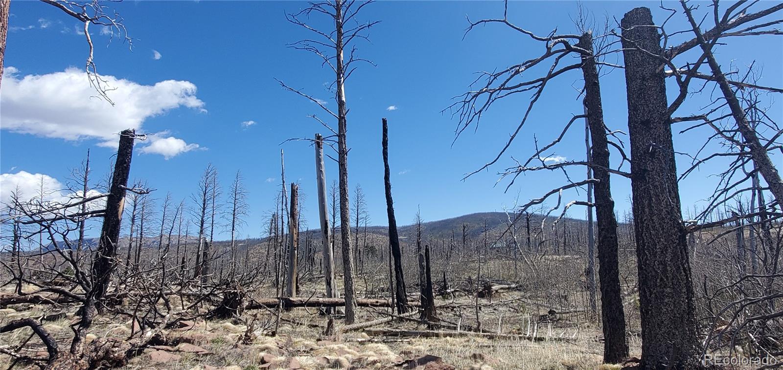 Lot 1228 Granville Loop Fort Garland CO 81133