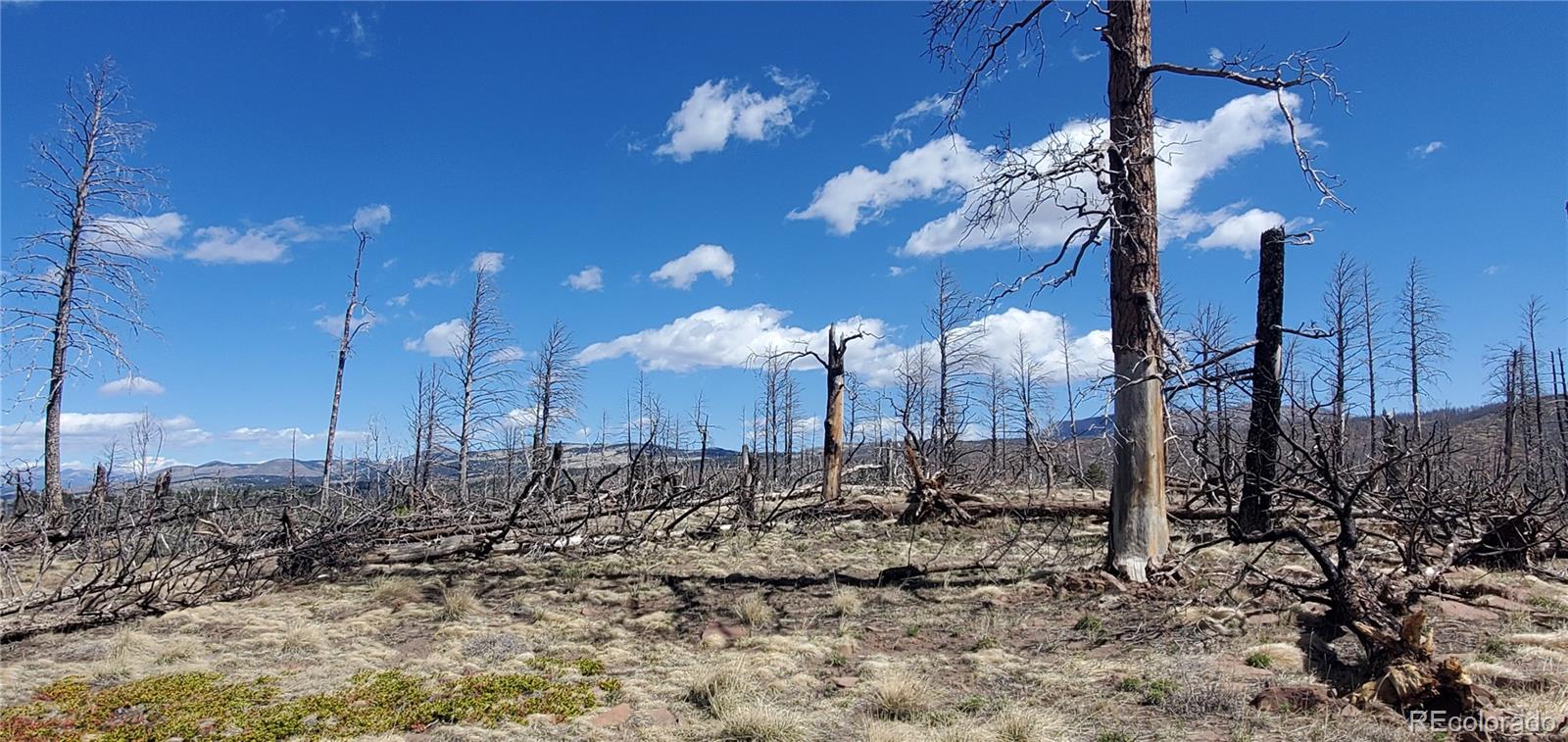 Lot 1228 Granville Loop Fort Garland CO 81133