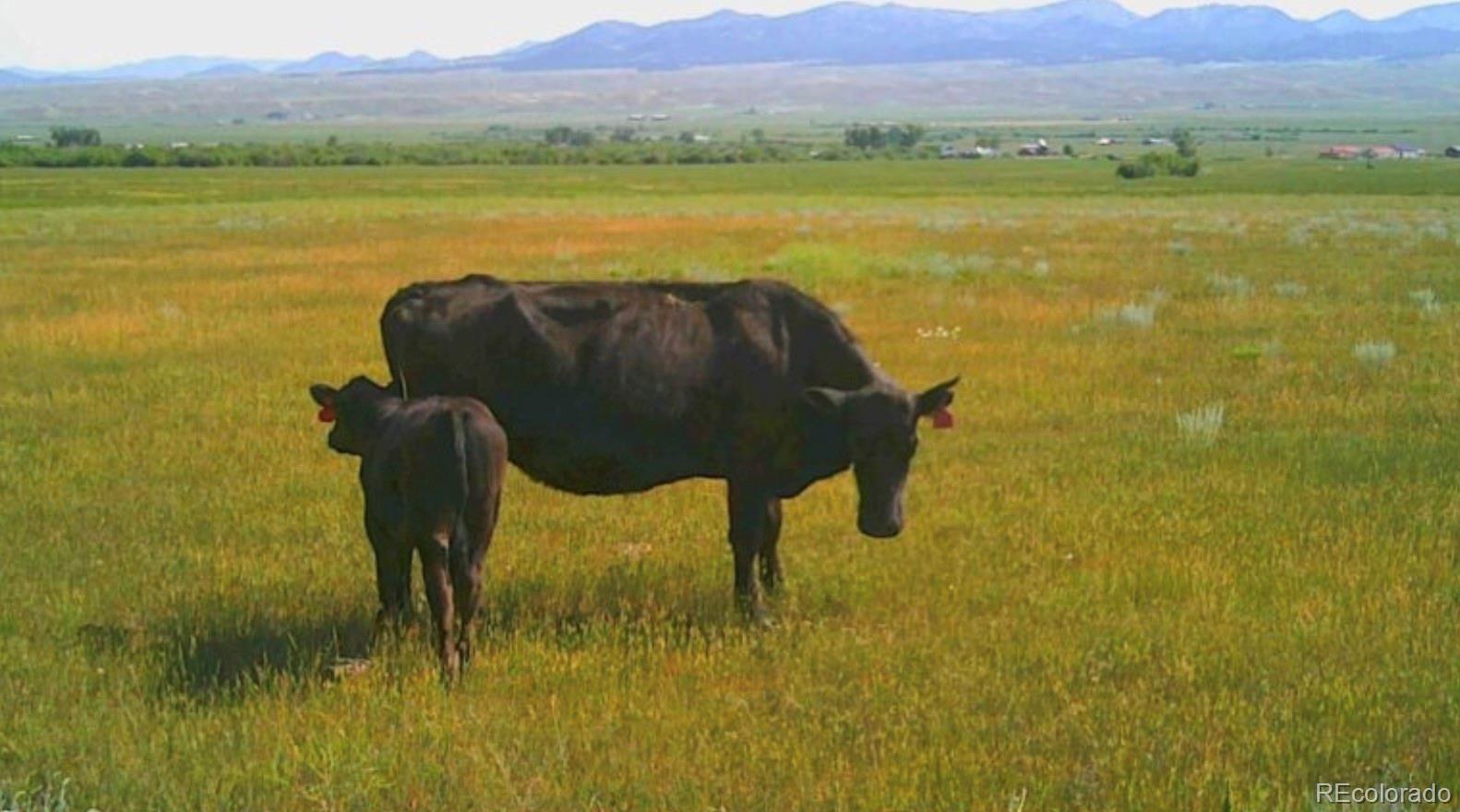 County Road 119 Westcliffe CO 81252