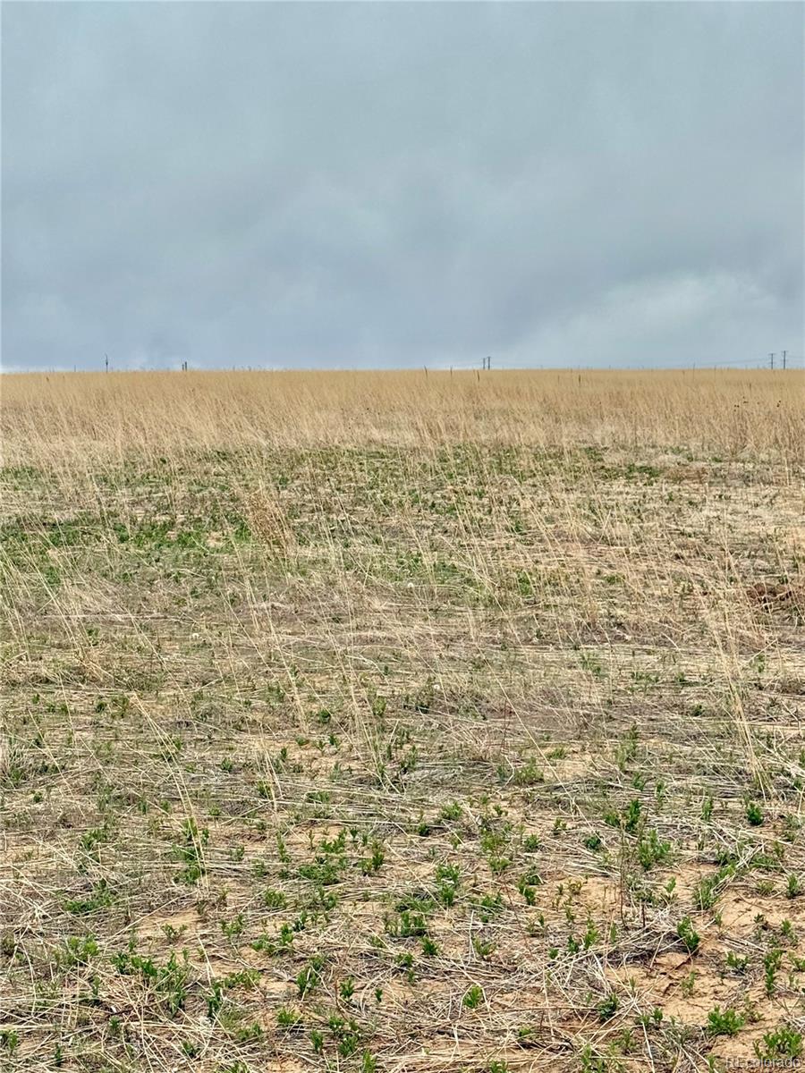 51000 Cr 30 Strasburg CO 80136