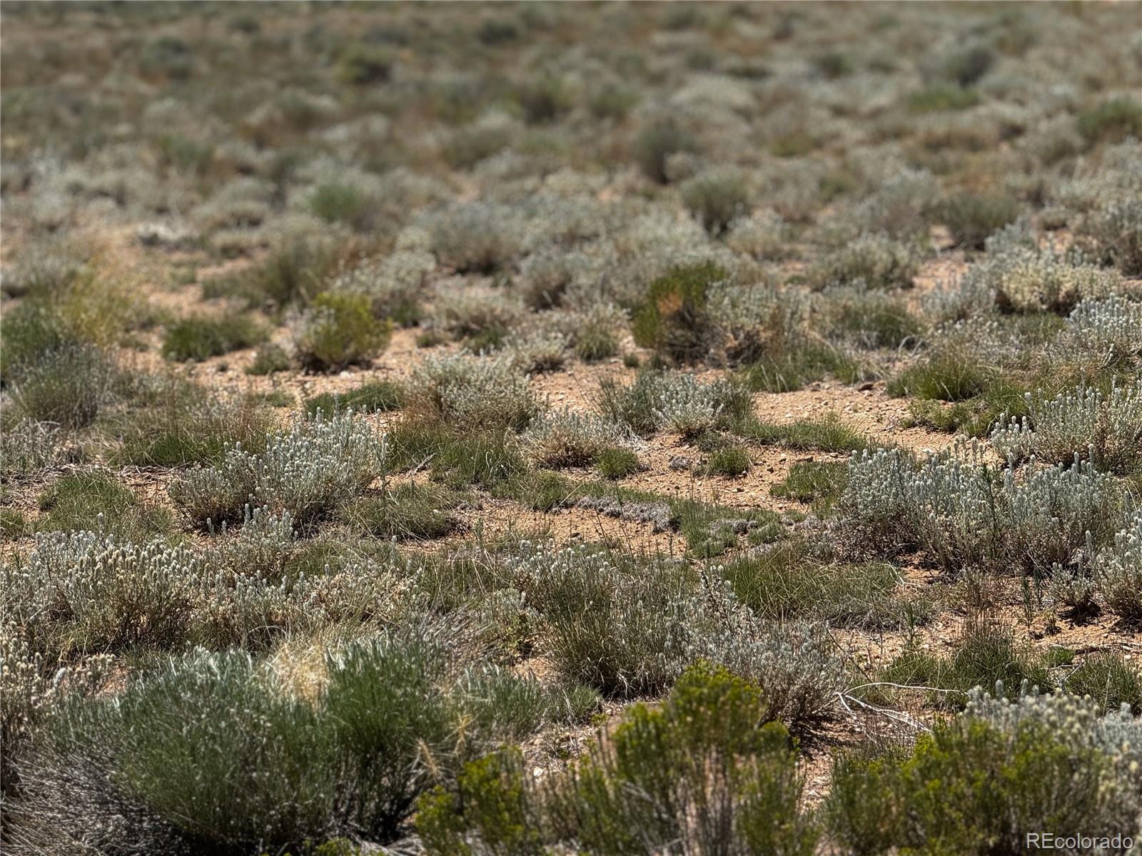 Lot 16 Rodger Road San Luis CO 81152
