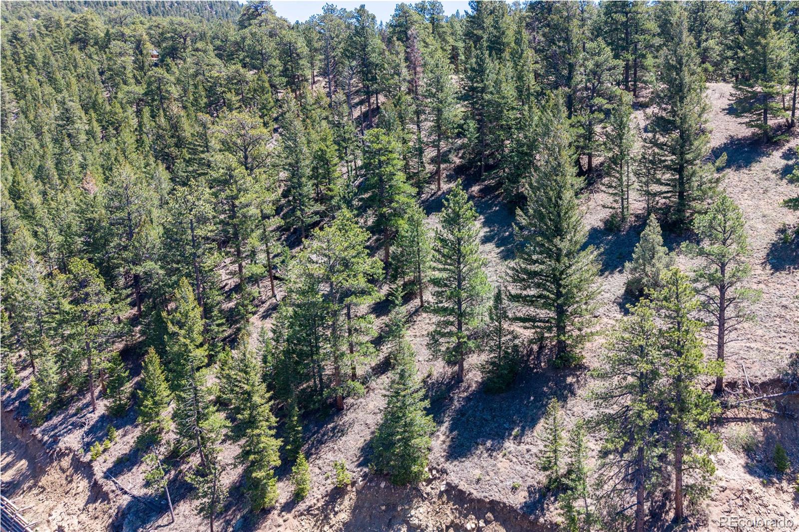2348 Aspen Knoll Drive Estes Park CO 80517
