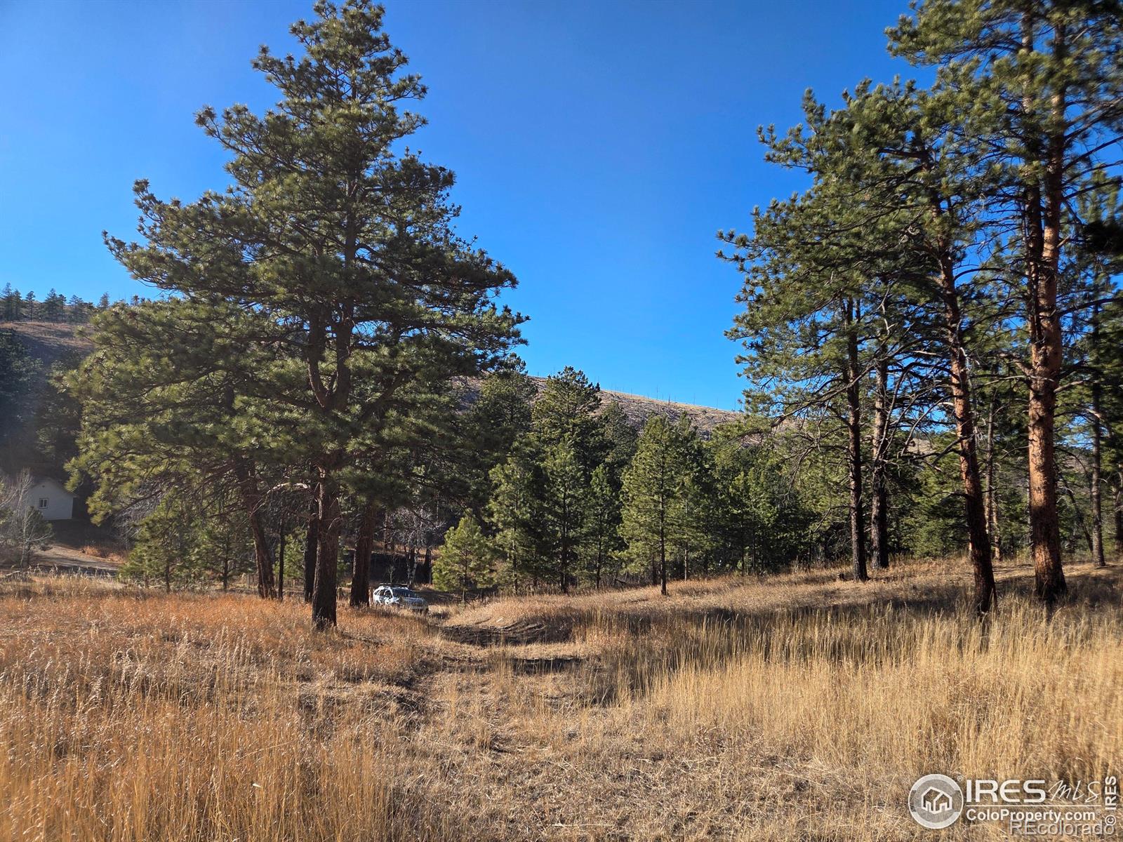 620 Davis Ranch Road Bellvue CO 80512