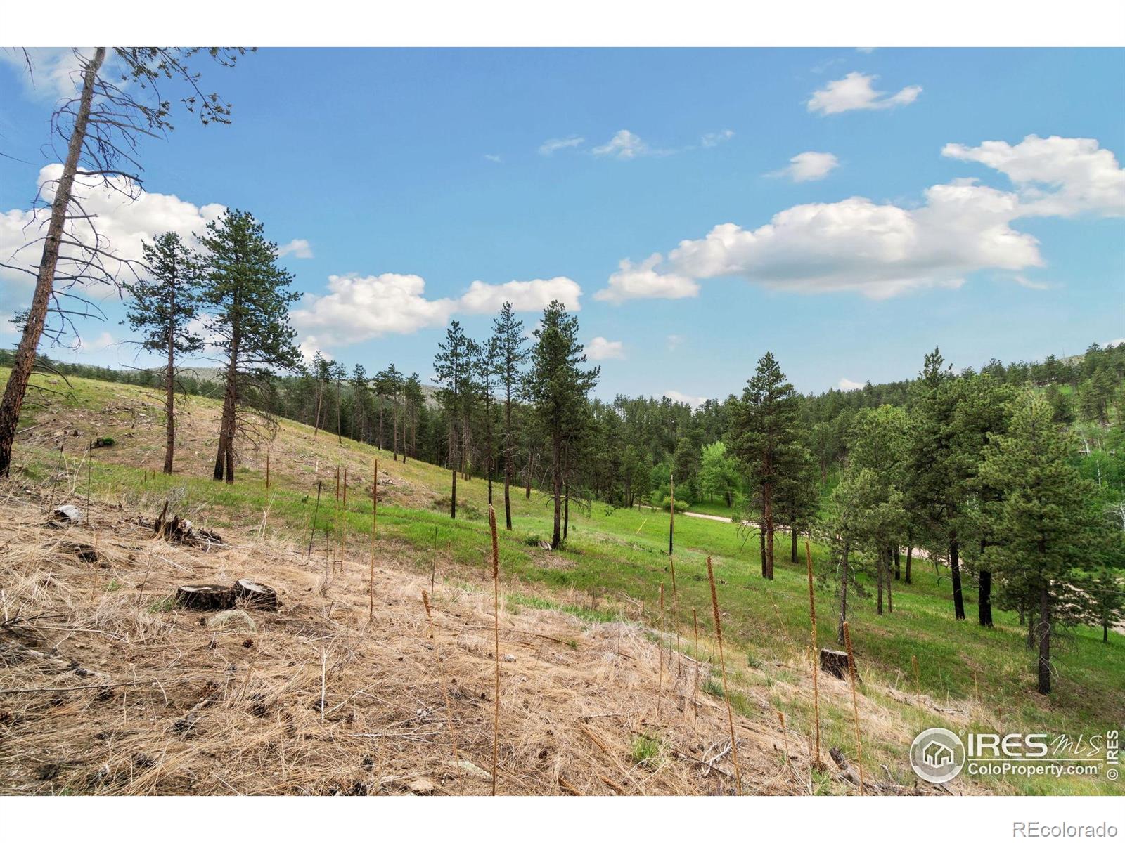 620 Davis Ranch Road Bellvue CO 80512