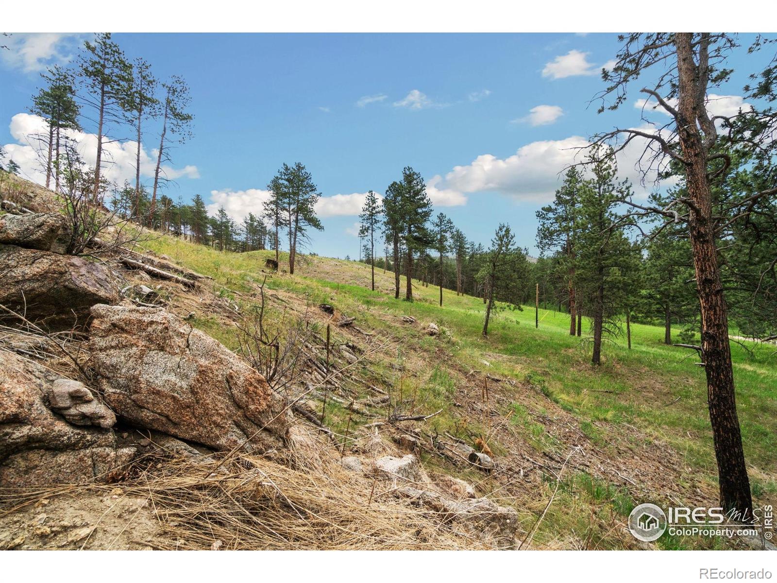 620 Davis Ranch Road Bellvue CO 80512