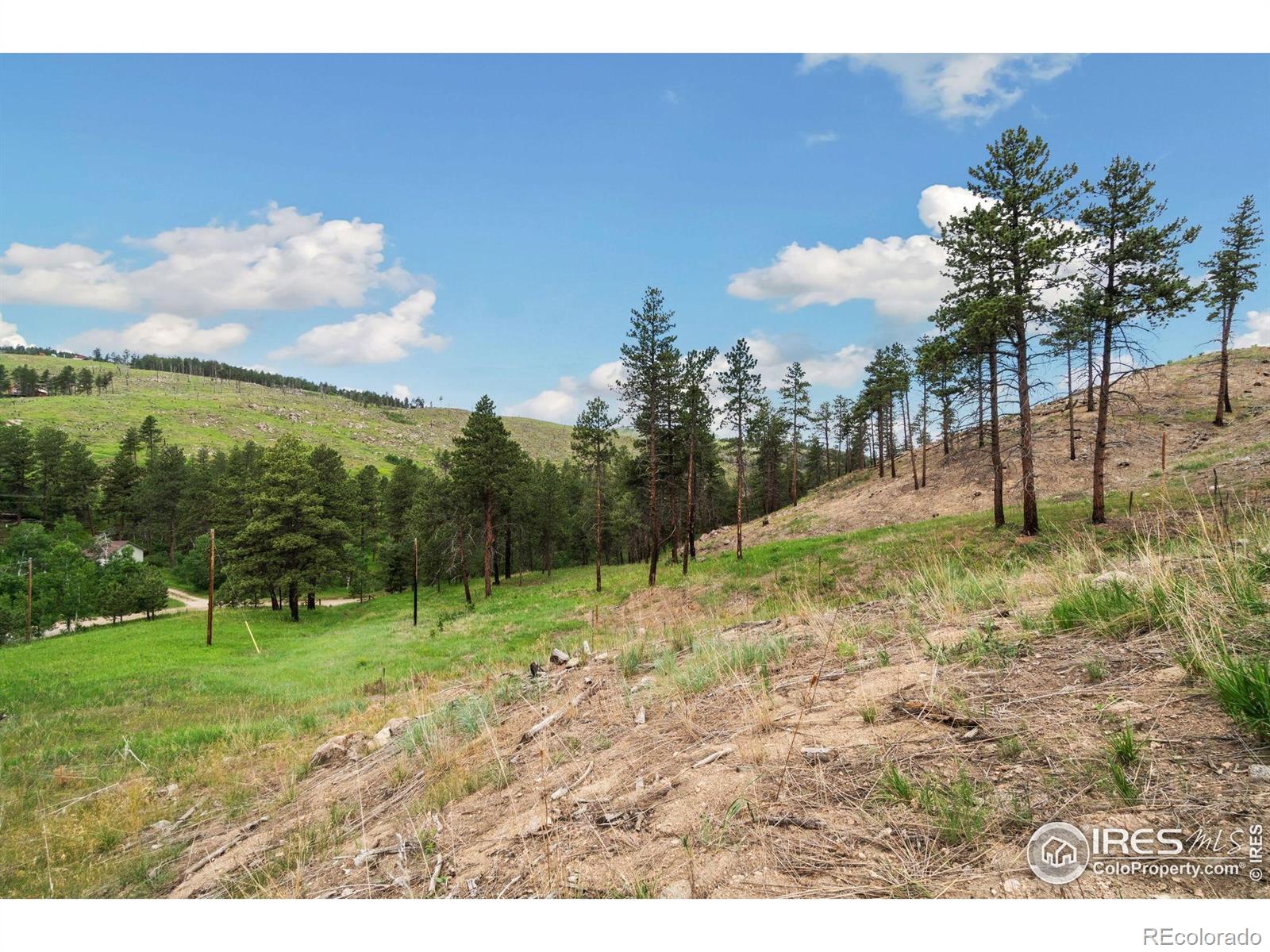 620 Davis Ranch Road Bellvue CO 80512