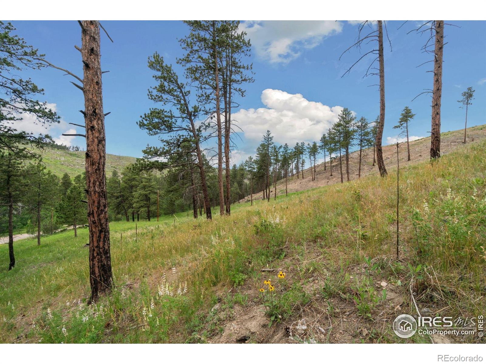 620 Davis Ranch Road Bellvue CO 80512