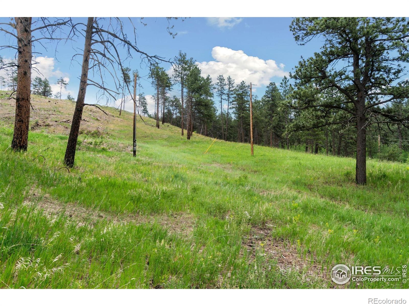 620 Davis Ranch Road Bellvue CO 80512