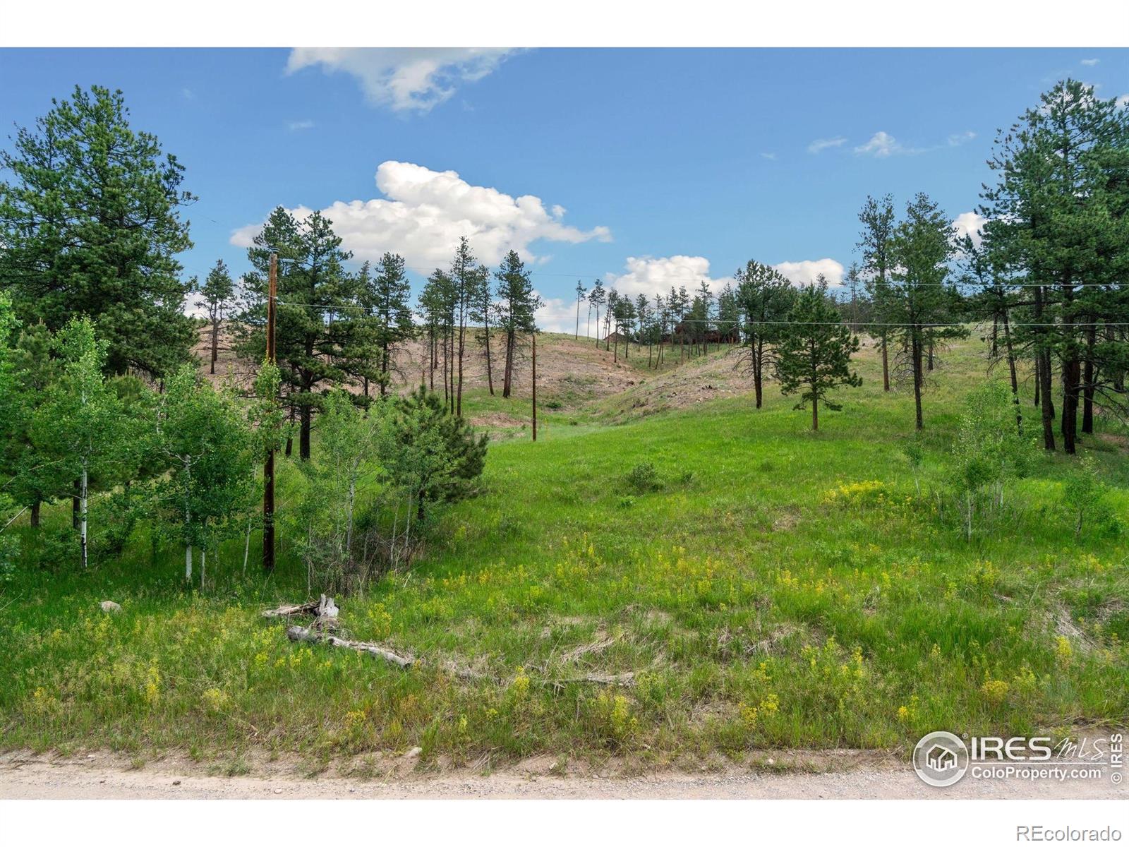 620 Davis Ranch Road Bellvue CO 80512