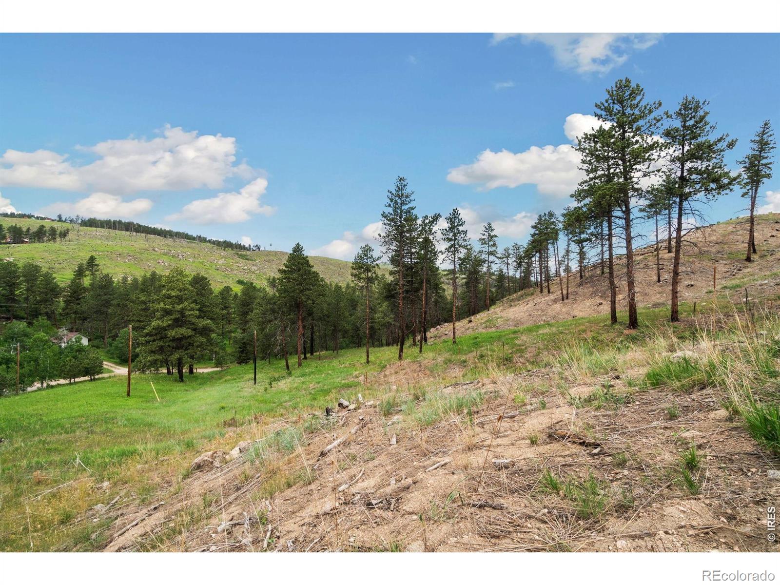 620 Davis Ranch Road Bellvue CO 80512