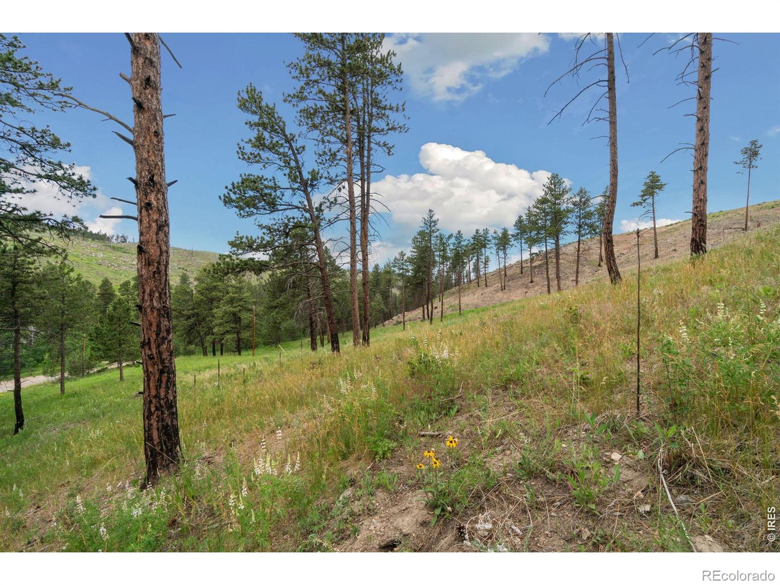 620 Davis Ranch Road Bellvue CO 80512