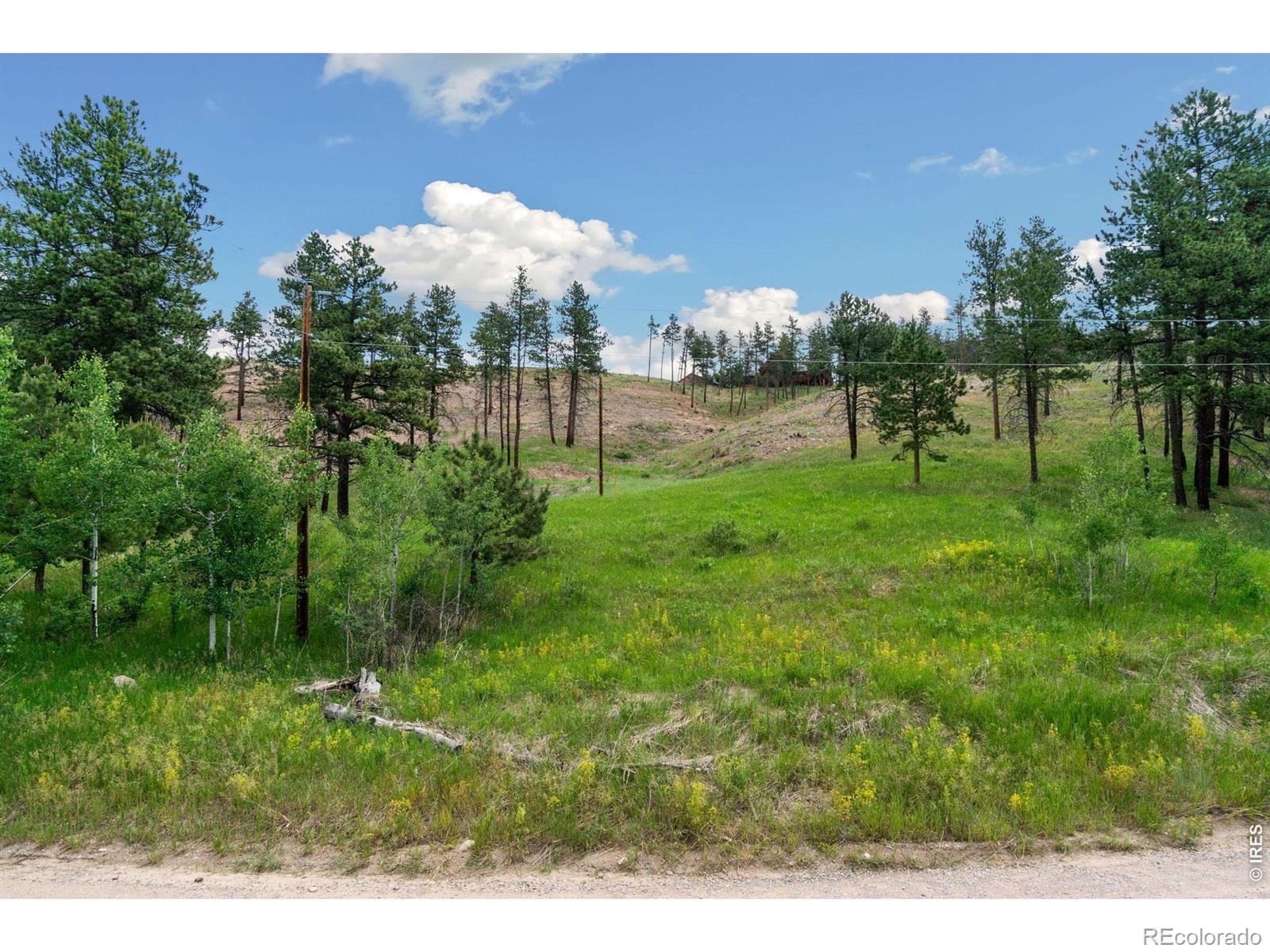 620 Davis Ranch Road Bellvue CO 80512
