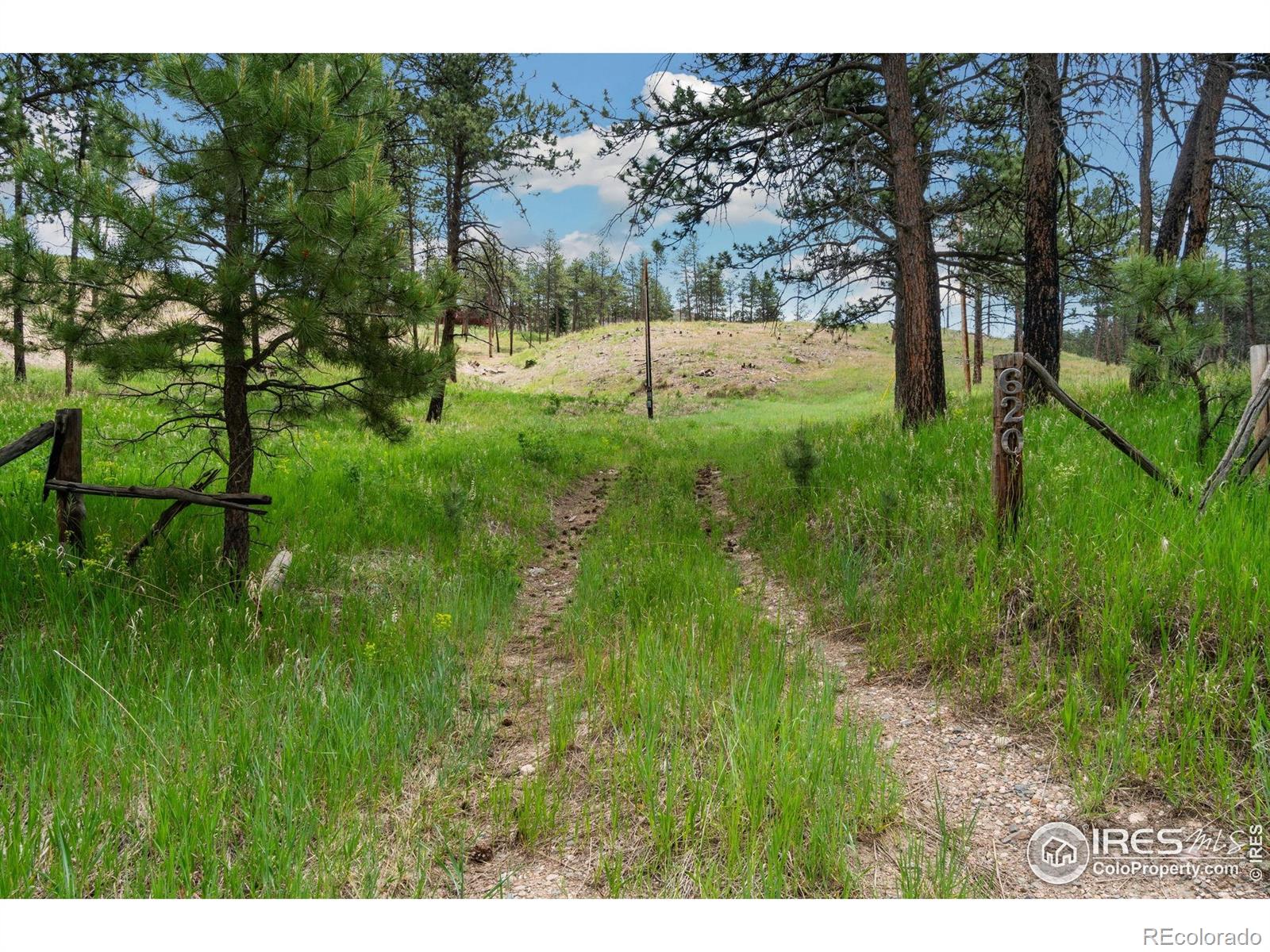620 Davis Ranch Road Bellvue CO 80512
