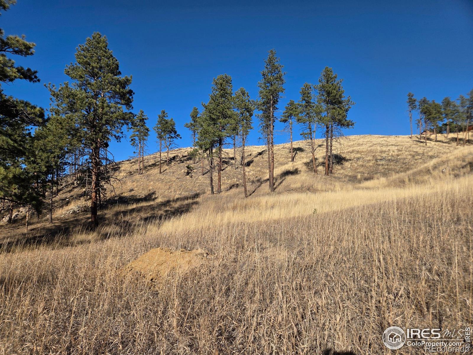 620 Davis Ranch Road Bellvue CO 80512