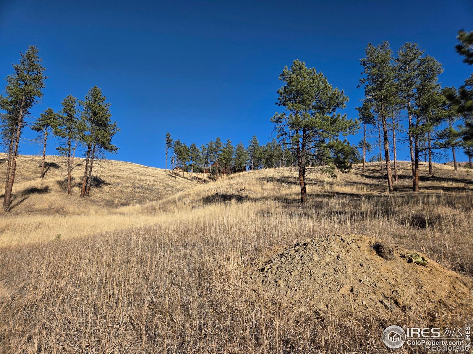 620 Davis Ranch Road Bellvue CO 80512