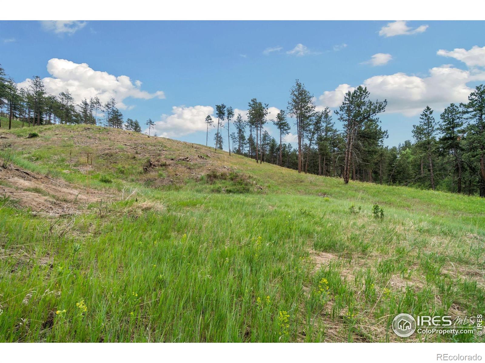 620 Davis Ranch Road Bellvue CO 80512