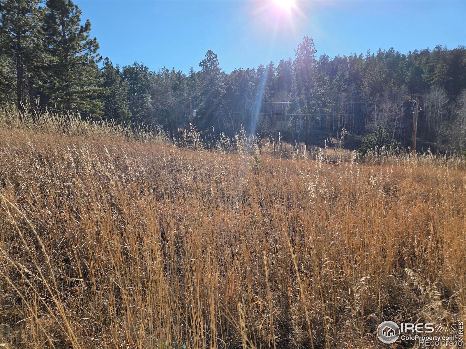 620 Davis Ranch Road Bellvue CO 80512
