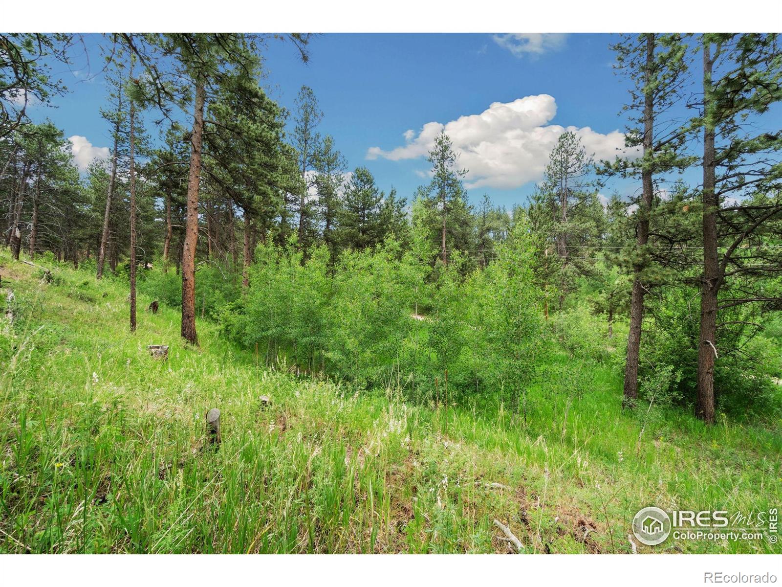 620 Davis Ranch Road Bellvue CO 80512