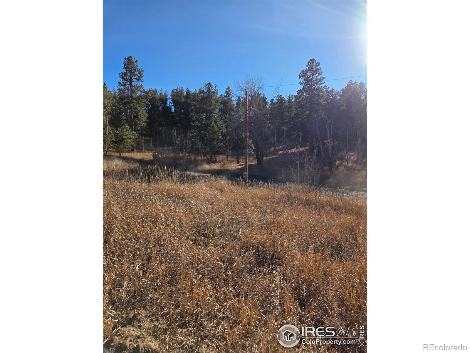 620 Davis Ranch Road Bellvue CO 80512