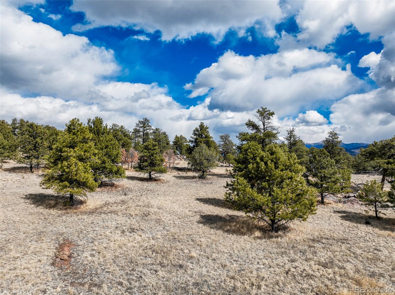 54 Ute Circle Florissant CO 80816