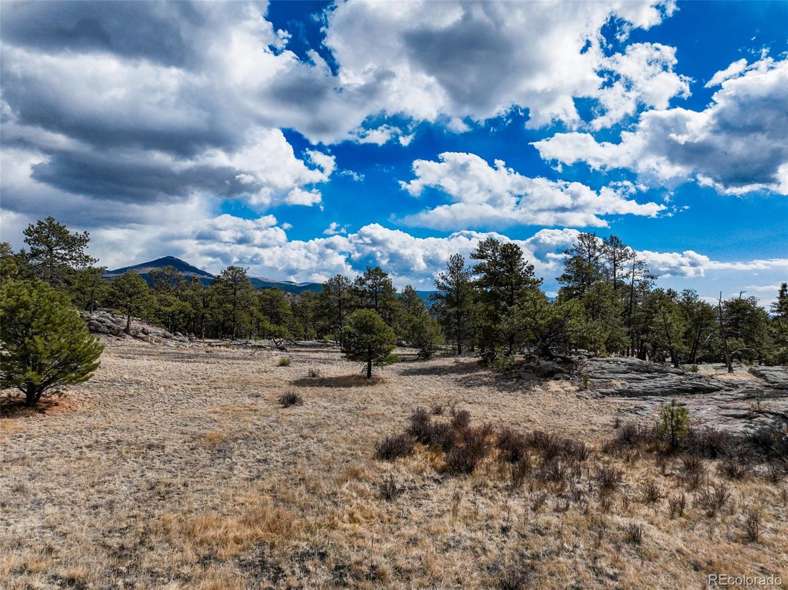 54 Ute Circle Florissant CO 80816