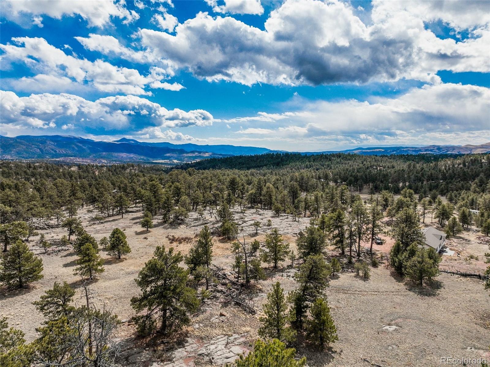 54 Ute Circle Florissant CO 80816