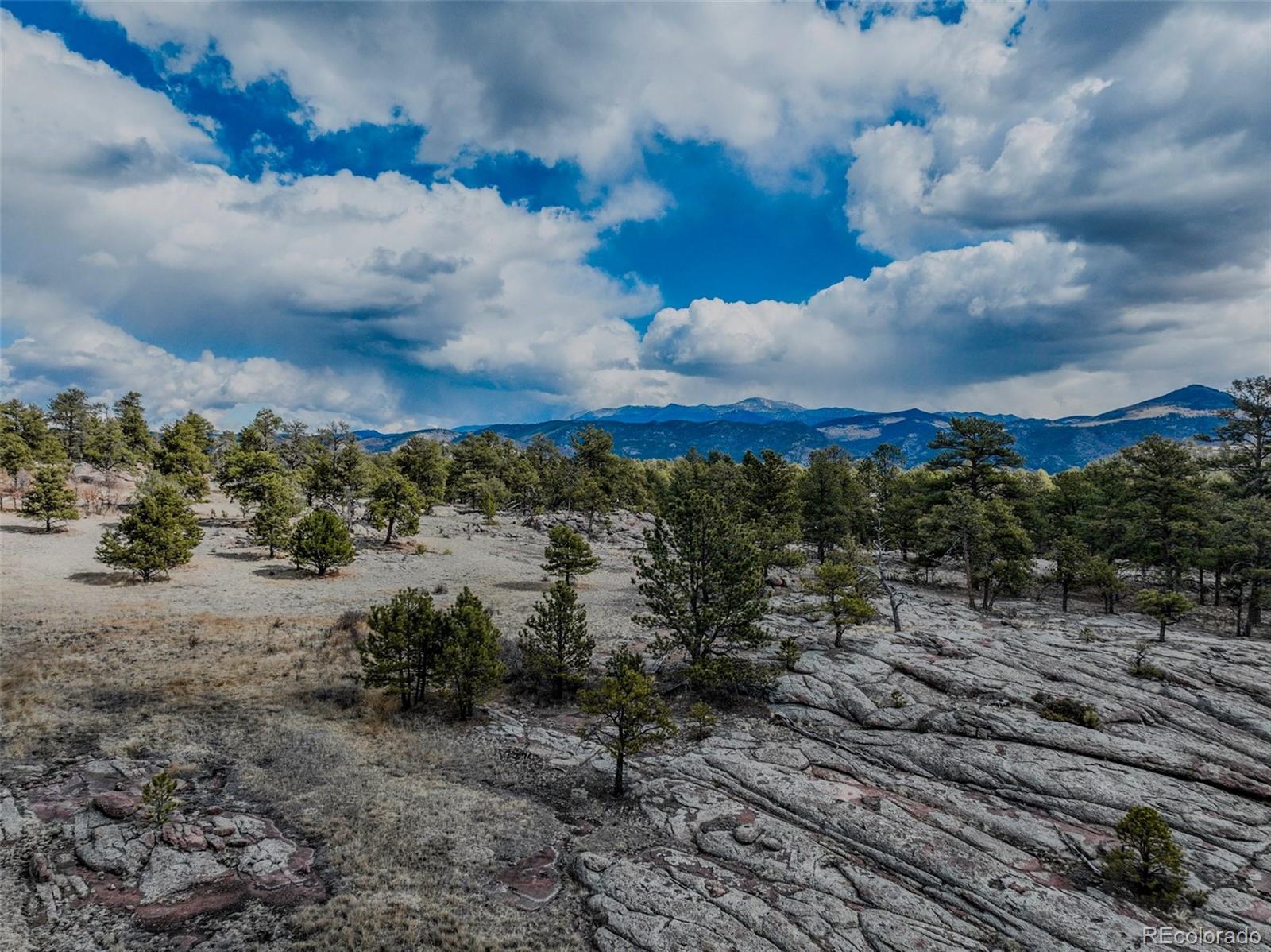 54 Ute Circle Florissant CO 80816