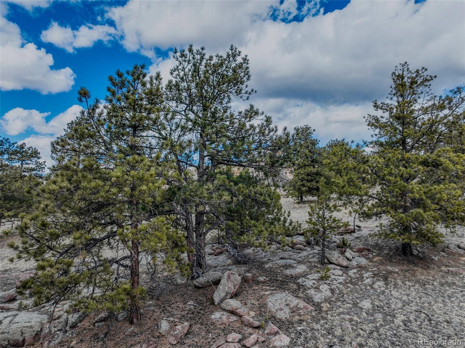 54 Ute Circle Florissant CO 80816