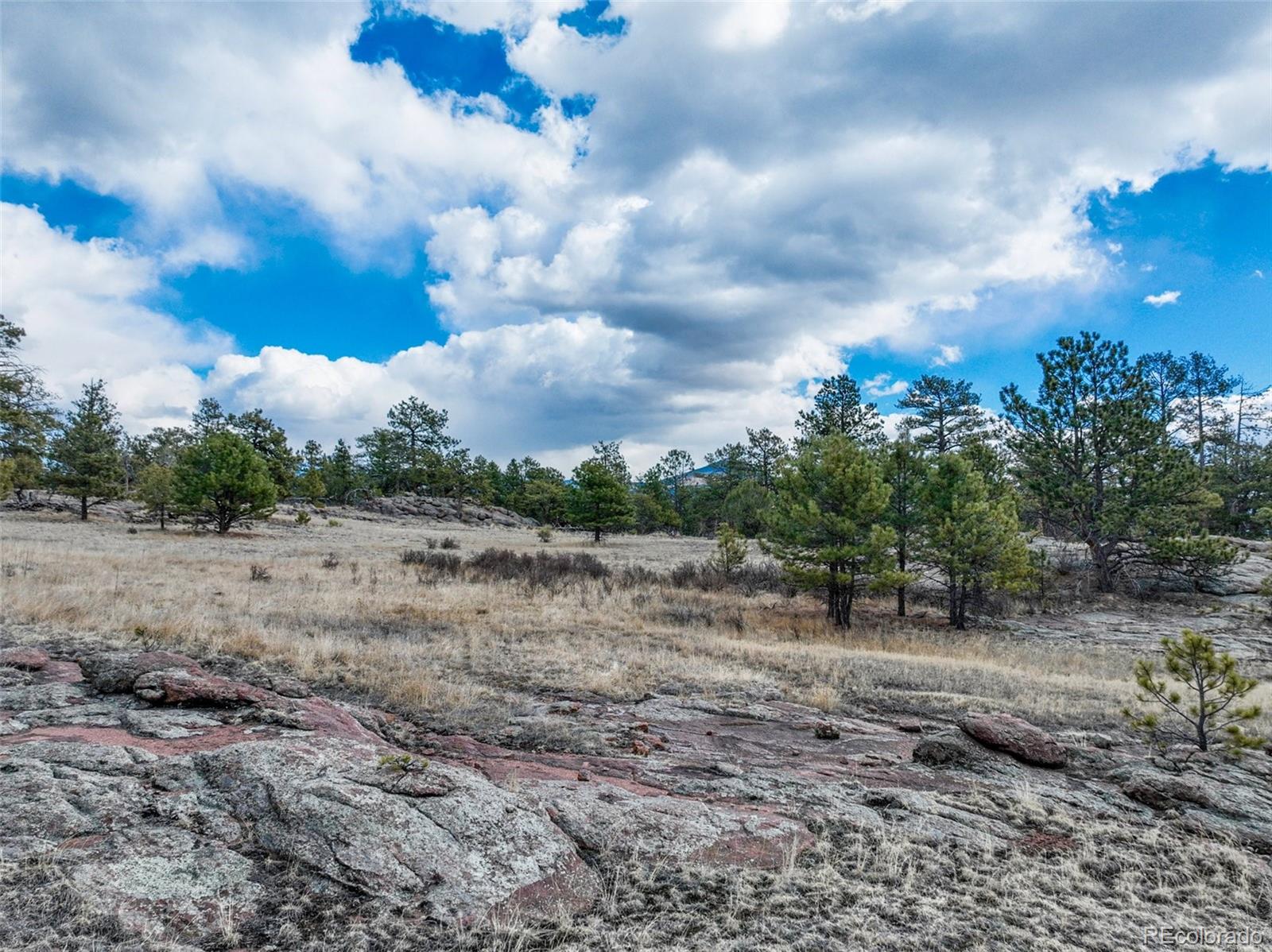 54 Ute Circle Florissant CO 80816