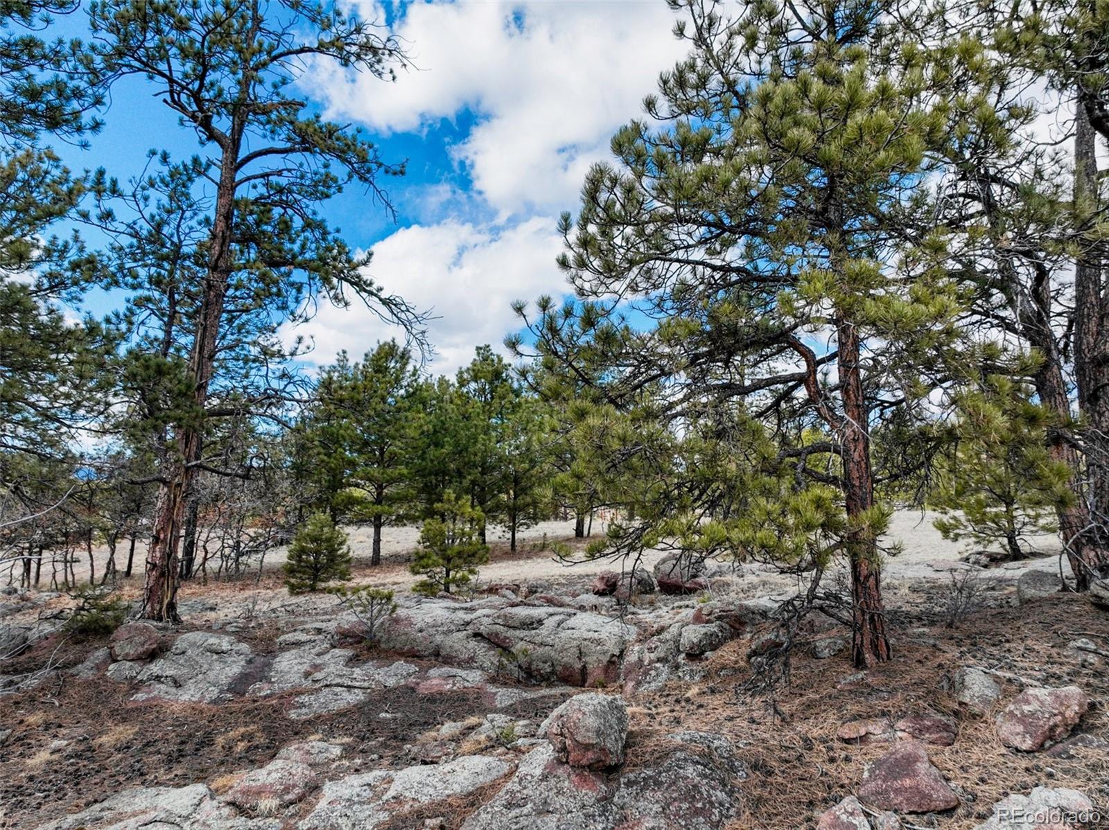 54 Ute Circle Florissant CO 80816