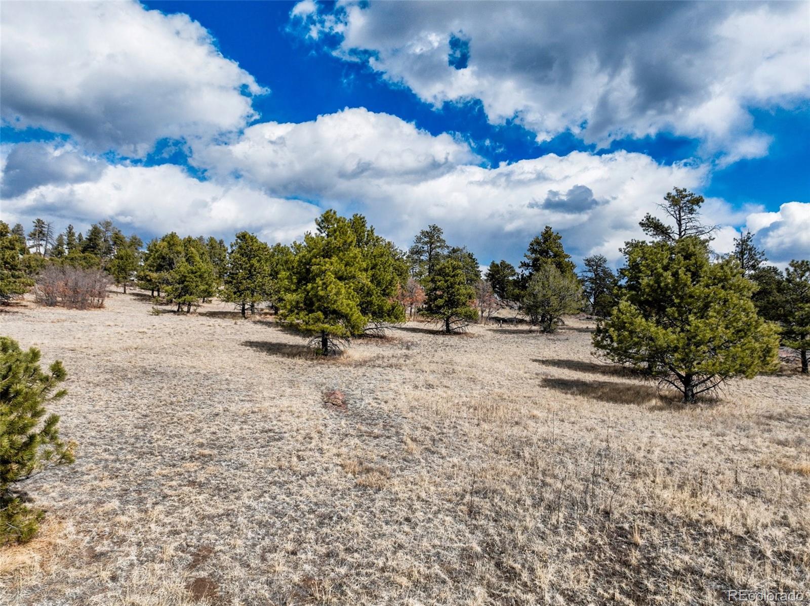 54 Ute Circle Florissant CO 80816