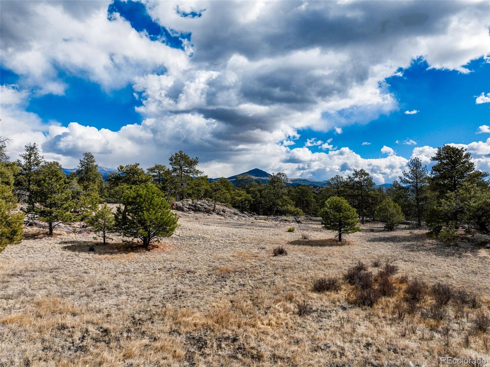 54 Ute Circle Florissant CO 80816