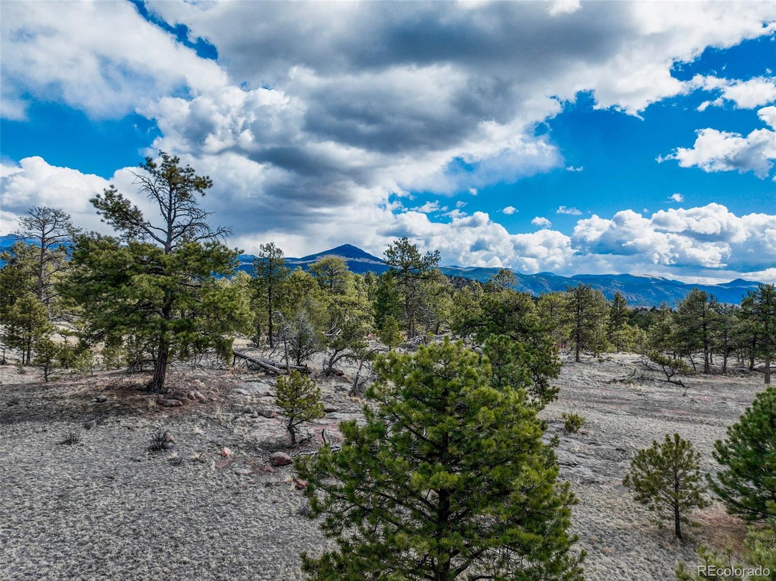 54 Ute Circle Florissant CO 80816